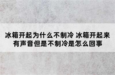 冰箱开起为什么不制冷 冰箱开起来有声音但是不制冷是怎么回事